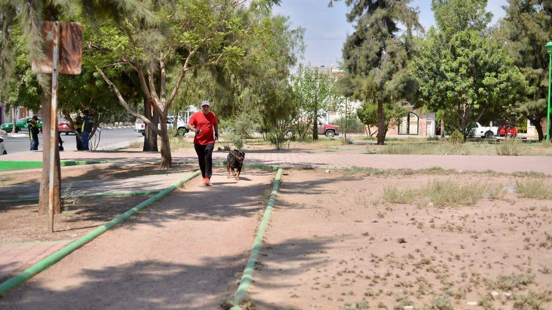 área verde de la colonia San Lorenzo 1